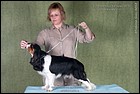 МАЙНЕ ЛИБЕ ГЕРЦЕН exc3.jpg